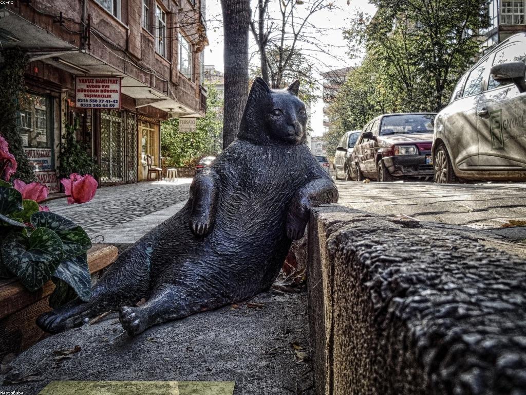 ការយល់ដឹងអំពីប្រភេទស្លុត