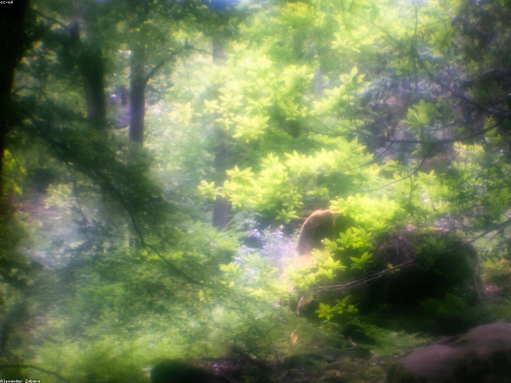 អនុភាពនៃព័ត៌មានស្លុតនៅក្នុងពិភពឌីជីថល