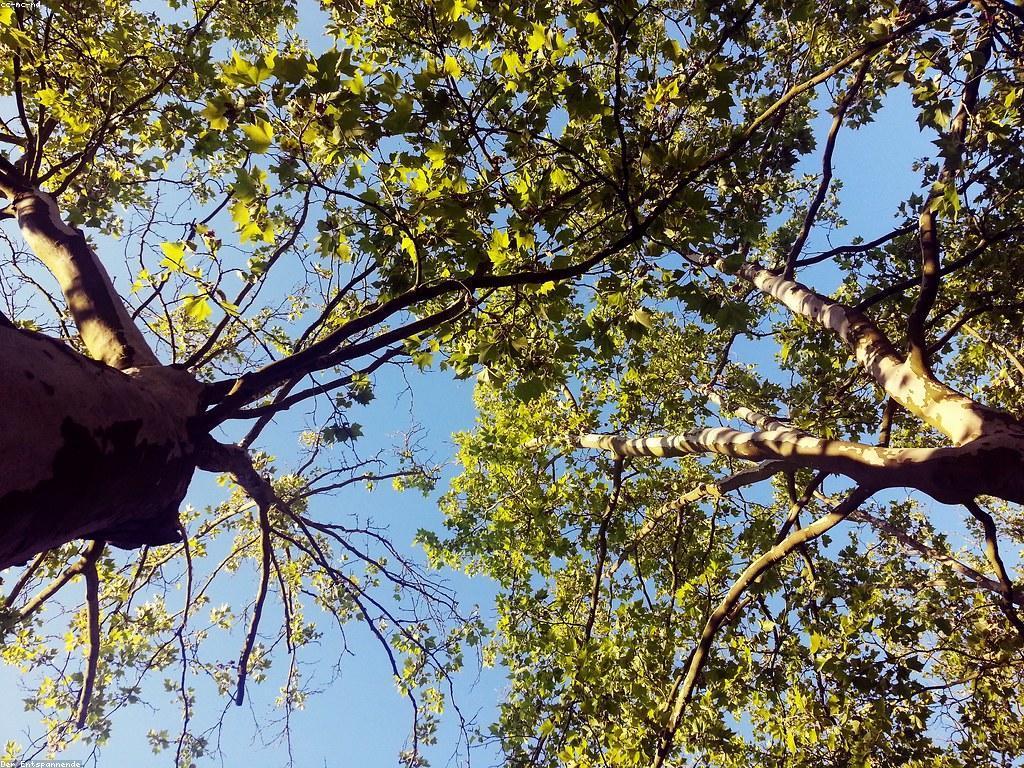 យុទ្ធសាស្រ្តស្លុតសម្រាប់ទីផ្សារយុទ្ធន៍មាតិកា