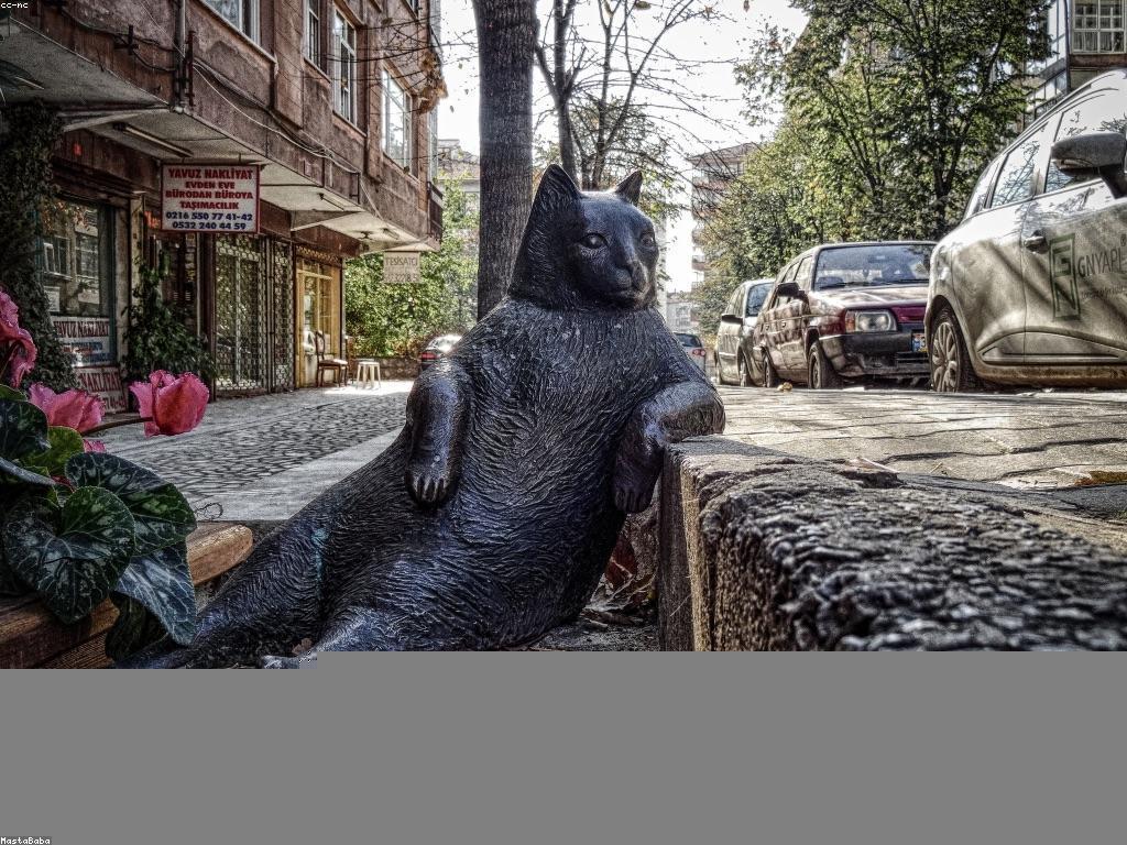 ប្រភេទស្លុតនិងការបែងចែក