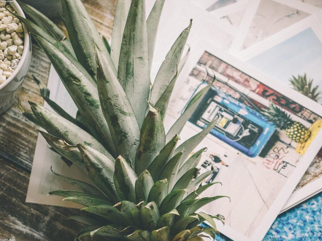 យុទ្ធសាស្រ្តស្លុតសម្រាប់ទីផ្សារយុទ្ធន៍មាតិកា